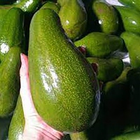 Bơ sáp siêu ngon chất lượng